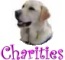 Charities